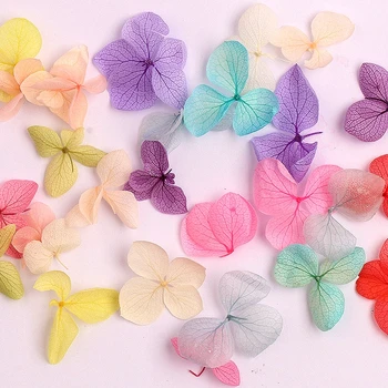 1 dėžutė nagų dailės apdailos natūralių gėlių nemirtingas džiovinti žiedlapiai, sumaišyti 3D nagų lipdukai 