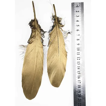 10vnt natūralus Dažytos dideli žąsų plunksnų 15-25cm/6-10inch Gražus aukso 