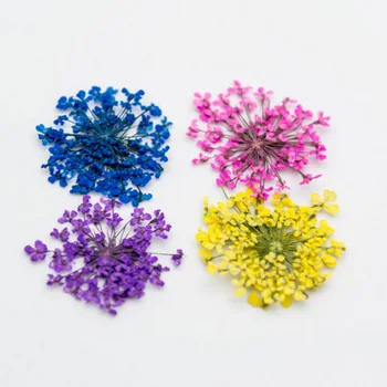 12 Spalvų Nekilnojamojo Sausų Džiovintų Gėlių, Lapų 3D UV Gelio Akrilo 