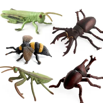 12 Stilius Modeliavimas Vabzdžių Pav Kolekcines, Žaislai, Kietas Vabzdžių, Gyvūnų Figūrėlių, Vaikų, Gyvūnų Sandtable Scena Žaislai