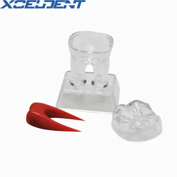 1pcs Dantų Kristalų Bazės Kieto Plastiko Dantų Krūminių Dantų Modelis Atskirti Odontologijos Medžiagos
