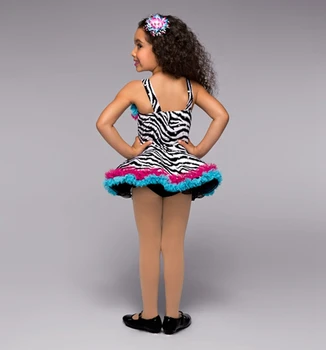 2018 Naujus Moteriškus Baleto Šokių Kostiumas Gilrs Veiklos Drabužius Gyvūnų Zebra Juostele Etape Šokių Konkurencijos Suknelė B-2448