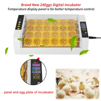 24 Vištų Kiaušiniai Inkubatoriaus Temperatūros Kontrolė Skaitmeninė Automatinis Vištienos Viščiukų, Ančių Hatcher Ūkio