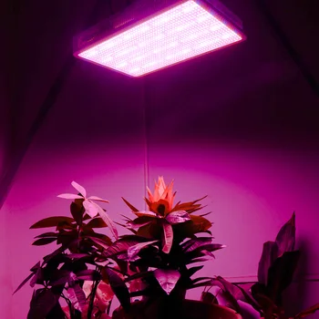 2VNT Visą Spektrą 1200W 1600W LED Grow Light Raudona/Mėlyna/UV/IR Šiltnamio efektą sukeliančių Led Grow Lempa Visiems Kambarinių augalų Auginimo Žydėjimo