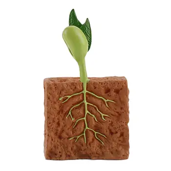 4Pcs Augalai, Auginami Žaislas Modeliavimas Švietimo PVC Augalų Augimo Ciklo Modelis, Namų