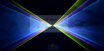 6 Objektyvo 12W DMX RGB Animacija Lazerio DJ Projektorius Disco Scenos Apšvietimas Poveikį Šalies Vestuvių Poilsio Klubas, Baras Skaitytuvas Lazerių Šou