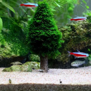 Akvariumo Bakas Kraštovaizdžio Modeliavimas Kalėdos Moss Kalėdų Eglutė Augalų Auga Akvariume Apdailos Reikmenys