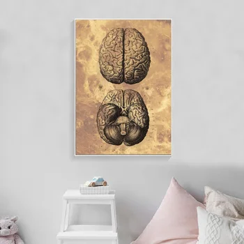 Anatomija Dizaino Smegenų Plakato Meno Tapybos Drobės Kambario Dekoro