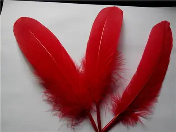 Aqua Žąsų Plunksnų,100vnt/daug - raudona Žąsų Satinettes Palaidų plunksnų,žąsų amatų plunksnos,10-18cm ilgio,