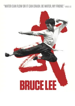 Bruce Lee Kovos Menų Milžinišką ŠILKO PLAKATAS Dekoratyvinis dažymas 24x36inch