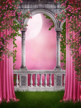 Derliaus arch spausdinti naujagimių gimtadienio rožinė pasaka foto backdrops Meno audinio fone studija sluoksnių, D-9776