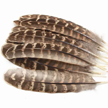 Didmeninė 10 vnt gamtinių kokybės moterų fazano plunksnų 4-6inches 