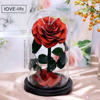 Dirbtinių Rožių Rankų darbo Gėlės Rožės Su Šviesos Gražus Širdies formos Dizainas, Dovanos Valentino\'s Dieną Birthday1