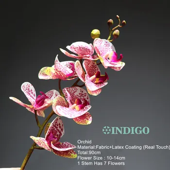 INDIGO-Kavos Vietoje Orchidėja 