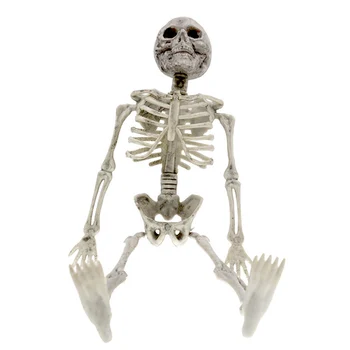 Kabo žmogaus skeletas, visas kūnas šalių rekvizitai Helovinas apdaila, 40 cm, patvarus