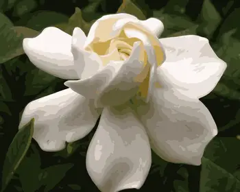 MaHuaf-i917 grynas gardenia tapybos numeriai gėlės 