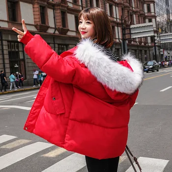 Medvilnės Storas Kailis Moterų Trumpą Dalį, 2019 Žiemos Naujų Korėjos Stiliaus Sniego Outwear Šiltas Gobtuvu Prarasti Parkas Moterims