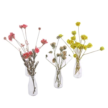 Mini 1set Unikalios Vazos Gėlių Konteinerių Modelių Lėlių Vaza Modelis Priedai Apdaila Namas Miniatiūriniai Modeliai