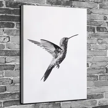 Minimalistinio Vaizdo Šiaurės Hummingbird Šiuolaikinės Kietas Drobė Meno, Plakato ir Spausdina Sienos Nuotrauka už Kambarį Apdaila