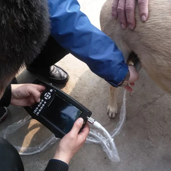 Nešiojamų Rankena Skaitmeninis Veterinarijos Ultragarso Skenerį Zondas atlikti Nėštumo testą Mašina Nėščioms gyvūnų