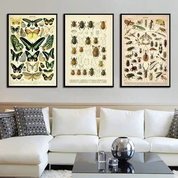 Vintage stiliaus tapybos drobės plakatas vabzdžių pavyzdys tapybos aukštos kokybės apdailos Kraftpopieris plakatą, be Rėmelio
