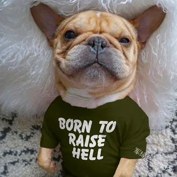 Šuo marškinėliai Patogus, Kvėpuojantis Buldogas Kailis Trumpas Rankovės vientisos Spalvos Smulkaus Ir Vidutinio šunelis 3D Letter Spausdinimo Drabužiai
