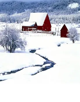 Žiemos Balto Sniego Namus Medis Fotografijos Backdrops Foto Rekvizitai Studija Fone 5x7ft