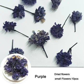 1 dėžutė nagų dailės apdailos natūralių gėlių nemirtingas džiovinti žiedlapiai, sumaišyti 3D nagų lipdukai 