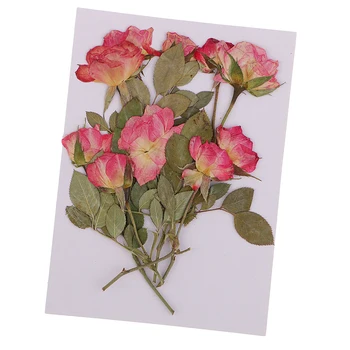 10 Nekilnojamojo Sausas Paspauskite Rožių Puokštės Natūralių Džiovintų Gėlių Paspaudus Gėlių Lapų