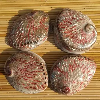 12-13 cm poliruoto natūralaus myli kevalus didelės ryškiai raudonos ausinukės, kurių sudėtyje yra dėžutė namų langų apdailos abalone medžiaga