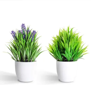 2-dalių Rinkinys, Dirbtiniai Augalai, Plastikiniai Mini Augalų Unikalus Dirbtinių Gėlių ir Augalų Puodą Apdailos Namų Dekoro