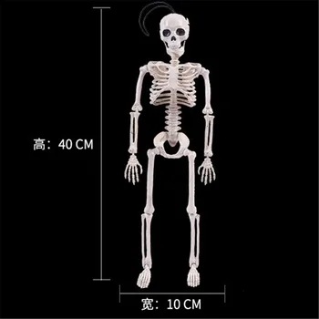 40CM Skeleto Modelis Didmeninė Mokytis Pagalbos Anatomija meno eskizas Helovinas Lankstus Žmogaus Anatomijos kaulų Anatomija