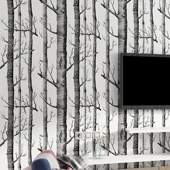 Abstrakti Juodos ir Baltos Šakos, neaustinių ekrano Užsklanda Kamieno Šakos Beržas Miško Gyvenimo Televizijos Fono Sienos Restoranas