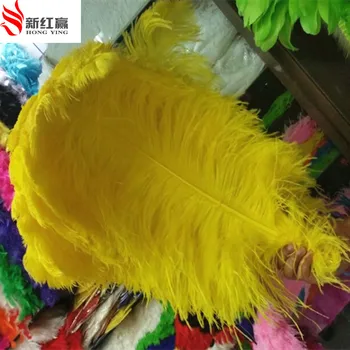 Didelis polių stručio plunksna geltonos plunksnos, 10 vnt 60-65cm / 24-26 cm natūralių plunksnų, vestuvių papuošimai
