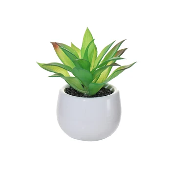 Dirbtiniai Augalai Bonsai Vazoninių Succulents Miniatiūrinė Eglutė Žalia Medžiagų Kambarį Lentelė Netikrą PVC Kaktusas Kūrybos Apdaila