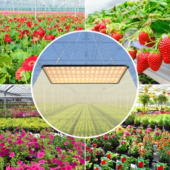Fito Lempos Visą Spektrą 2000W LED Grow Light Augalų Auginimo Lempos Lemputė Hydroponic Apšvietimas, Daržovių, Gėlių Sėklų, kambariniai Augalai