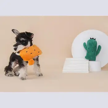 Katė Interaktyvus Žaislas Kūrybos Kaktusas Formos Bite Atsparus Šuo Kramto Žaislą Medvilnės Kačiukas, Šuniukas Žaisti Žaislo Augintinio Rengimo Žaislas Naminių Reikmenys