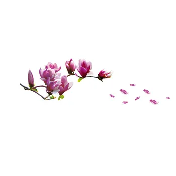 Magnolia Gėlių, Namų Apyvokos Kambario Sienos Lipdukas Sienų Dekoras Decal Nuimamas Naujas Meno Freskos Gražus ir patvarus, namų dekoro