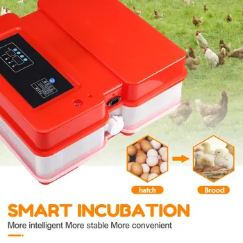 Naujas 70 Kiaušiniai Inkubatoriaus Ruožtu Dėklas Paukščių Inkubavimo Įranga, Viščiukų, Ančių Ir Kitų Paukščių Inkubatorių Automatiškai Įjungti Kiaušiniai