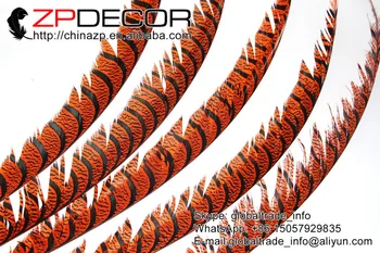 ZPDECOR Didmeninė 36-40inch(90-100cm)100pieces/daug Dažytos Orange Zebra Lady Amherst Fazanų Plunksnos Karnavalas Rodyti Apdaila