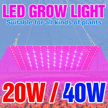 Šiltnamio efektą sukeliančių Augalų Lemputė 20W 40W Gėlių Sėklų Auga Lempa LED Daigų Fito Žibintai ES, JAV, UK Plug Hydroponics Sistemos Augimą Palapinė 220V