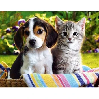 Šunų & Cat, diamond siuvinėjimo, mozaika, sienų dekoras, 