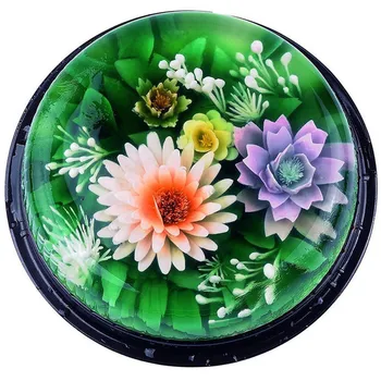 5vnt 3D Želė Jello Gėlių Meno Įrankiai Želė Tortas Želatina Pudingas Pelėsių Antgalis Rusija Antgalis Nustatyti Šalies Tortas Dekoravimo Įrankiai