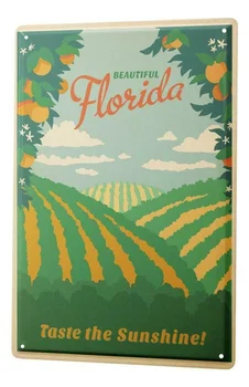 Alavo Ženklas Pasaulyje Kelionę Floridos Apelsinų Giraites, Metalo Apnašas 12x8 Cm