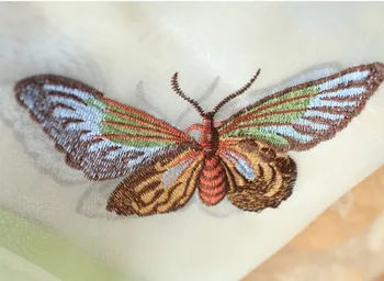 Išskirtinį drugelis išsiuvinėti modelis tiulio užuolaidos. Dekoratyvinis romanetės. Balionų uždanga. Specialus pasiūlymas užuolaidos.