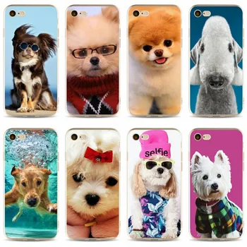 Mados Mielas šuo Padengti aukštos kokybės Minkšto Silikono 2018 TPU Telefono dėklas, Skirtas iPhone 5 5C 5S SE X 6, 6S 6plus 7 7plus 8 8plus