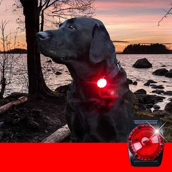 Naujas Pet Naktį Saugos LED Žibintuvėlis Kačių ir Šunų Apykaklės Veda Žibintai Žėrintis Pakabukas Karoliai Pet Šviesos Ryškiai Spindinčią Apykaklės
