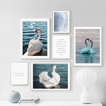 Plunksnų Blue Lake Swan Sienos Menas Spausdinti Paveikslai Tapyba Meilės Kabučių, Šiaurės Drobės Plakatų Ir Grafikos Meno Sienos Nuotraukas Gyvenimo