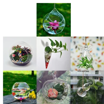 Stiklo Hydroponic Gėlių Vaza/Pasakų Sodas 