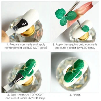 1 Dėžutė Džiovintų Gėlių Nail Art Apdailos 3D Manikiūro lenkijos Nekilnojamojo Konservuoti Gėlių Lapų Sumaišyti Natūralių Gėlių Lipdukas